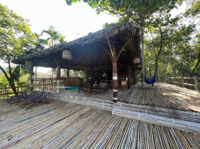Tiger home stay Phayam